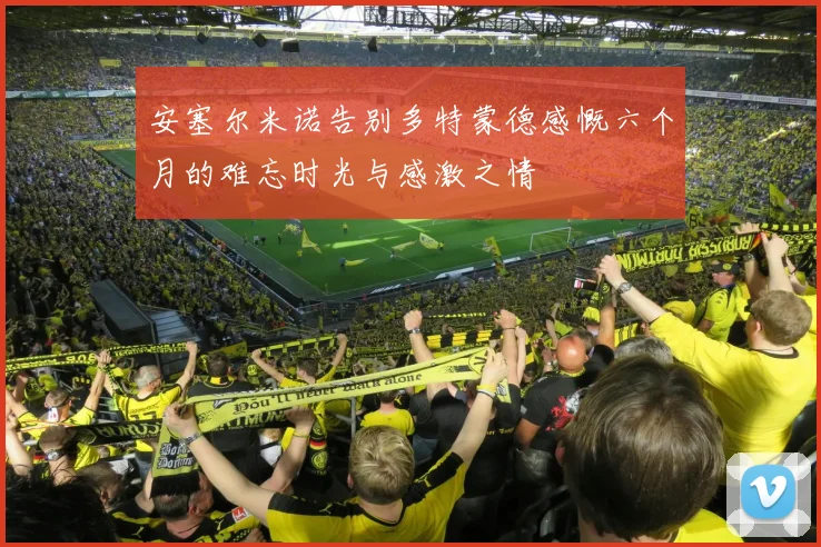 安塞尔米诺告别多特蒙德感慨六个月的难忘时光与感激之情