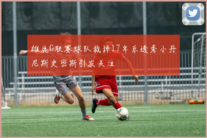 雄鹿G联赛球队裁掉17年乐透秀小丹尼斯史密斯引发关注