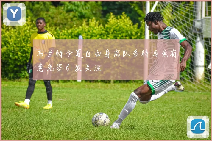 布兰特今夏自由身离队多特马竞有意免签引发关注